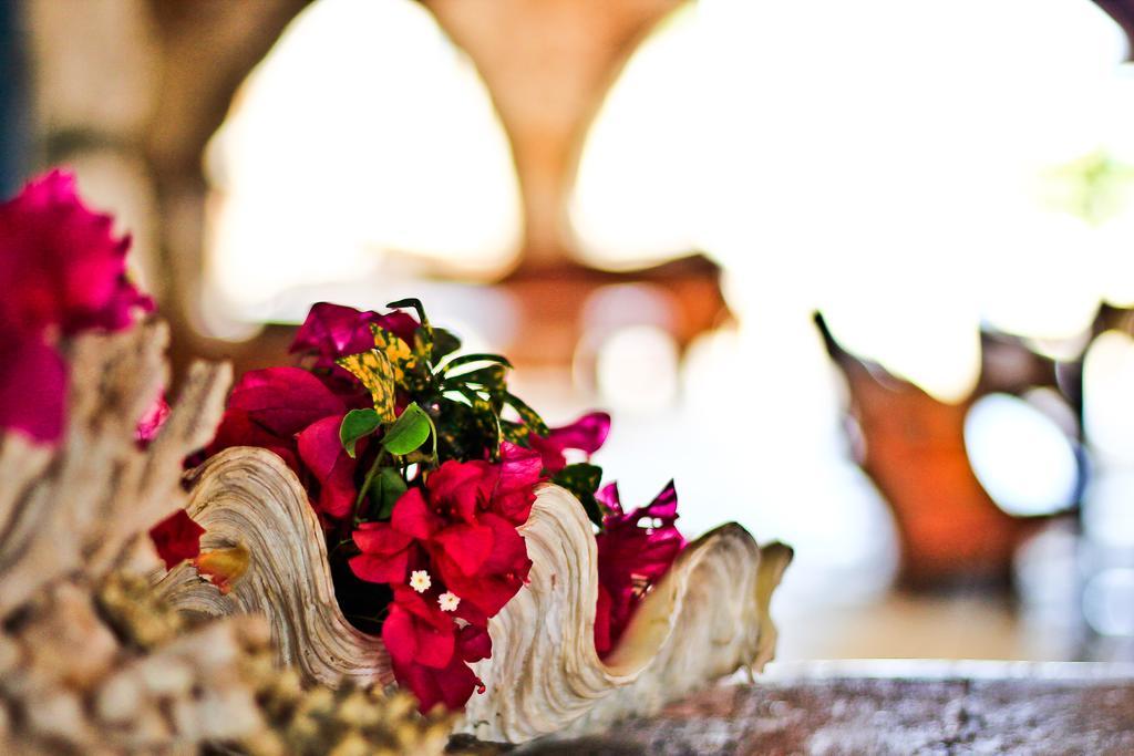 Palumbokendwa Hotel Zanzibar Buitenkant foto